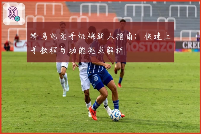 蜂鸟电竞手机端新人指南:快速上手教程与功能亮点解析