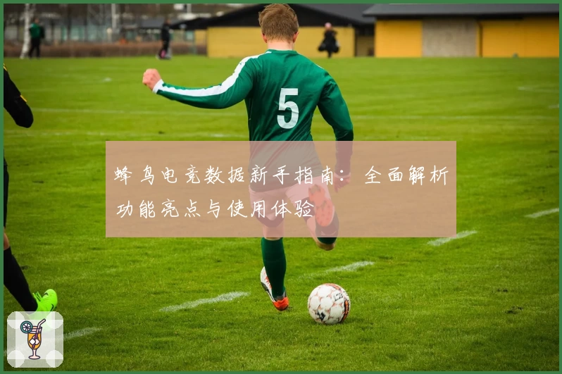 蜂鸟电竞数据新手指南：全面解析功能亮点与使用体验