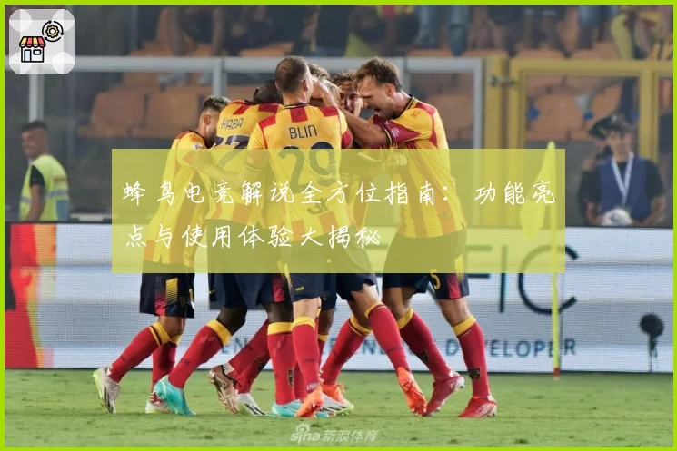 蜂鸟电竞解说全方位指南：功能亮点与使用体验大揭秘
