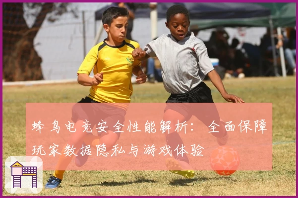 蜂鸟电竞安全性能解析：全面保障玩家数据隐私与游戏体验