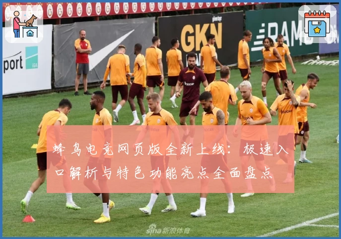 蜂鸟电竞网页版全新上线：极速入口解析与特色功能亮点全面盘点