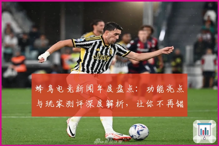 蜂鸟电竞新闻年度盘点:功能亮点与玩家测评深度解析,让你不再错过每一场精彩赛事
