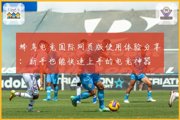 蜂鸟电竞国际网页版使用体验分享：新手也能快速上手的电竞神器