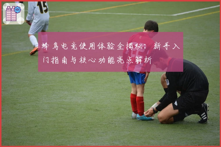 蜂鸟电竞使用体验全揭秘：新手入门指南与核心功能亮点解析