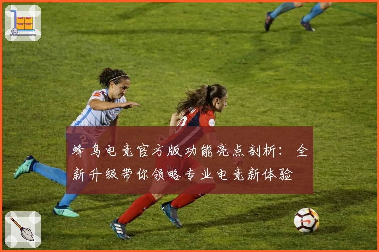 蜂鸟电竞官方版功能亮点剖析：全新升级带你领略专业电竞新体验