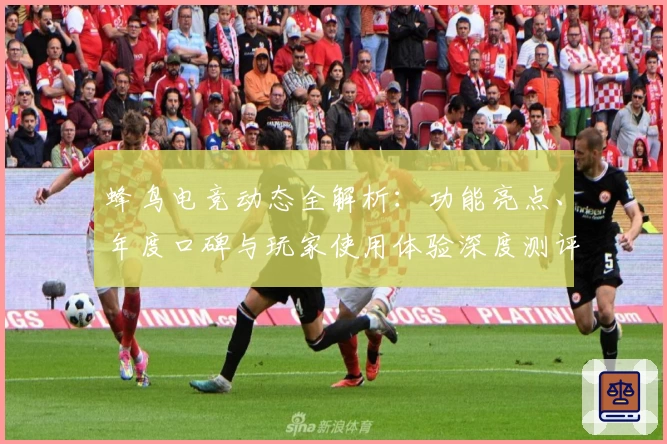 蜂鸟电竞动态全解析：功能亮点、年度口碑与玩家使用体验深度测评