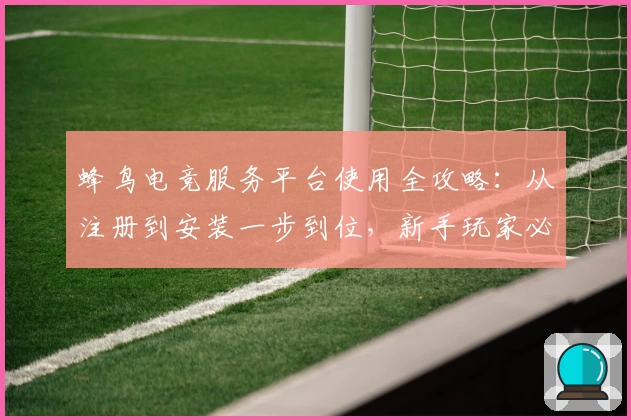 蜂鸟电竞服务平台使用全攻略：从注册到安装一步到位，新手玩家必备指南