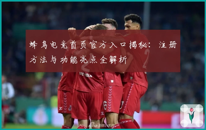 蜂鸟电竞首页官方入口揭秘：注册方法与功能亮点全解析