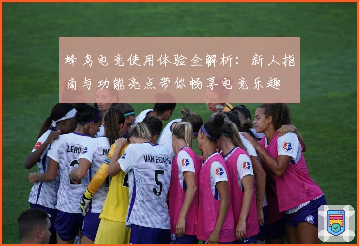 蜂鸟电竞使用体验全解析：新人指南与功能亮点带你畅享电竞乐趣