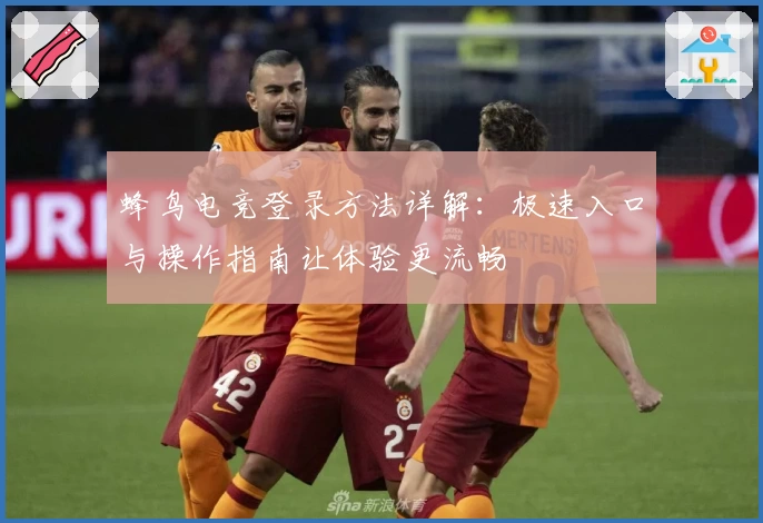 蜂鸟电竞登录方法详解：极速入口与操作指南让体验更流畅