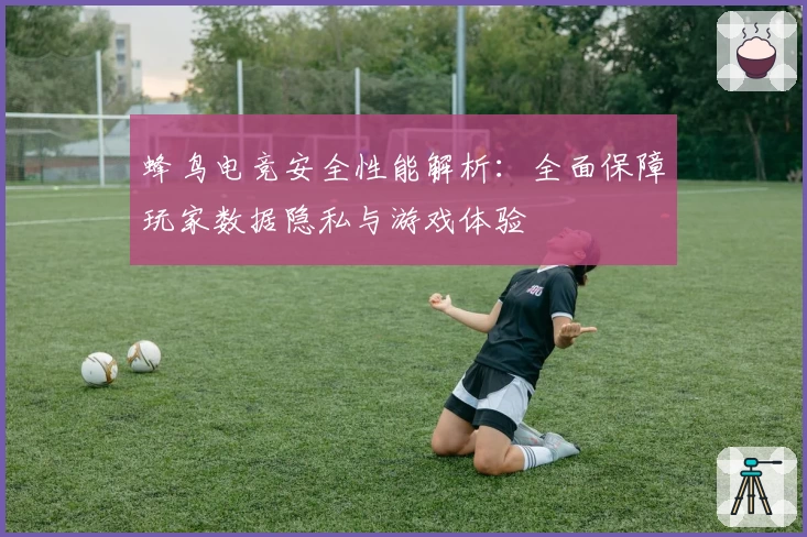 蜂鸟电竞安全性能解析：全面保障玩家数据隐私与游戏体验