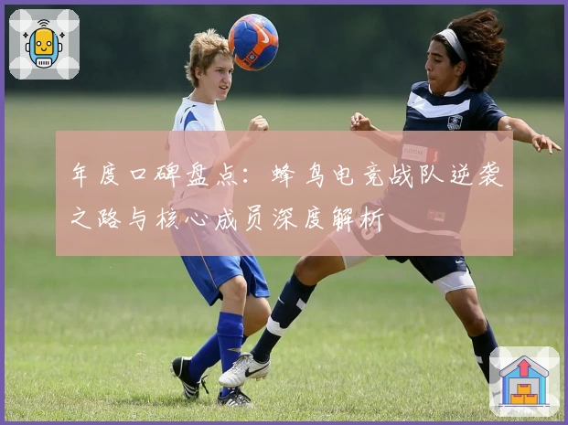 年度口碑盘点：蜂鸟电竞战队逆袭之路与核心成员深度解析