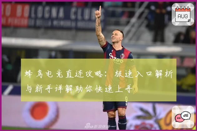 蜂鸟电竞直连攻略：极速入口解析与新手详解助你快速上手