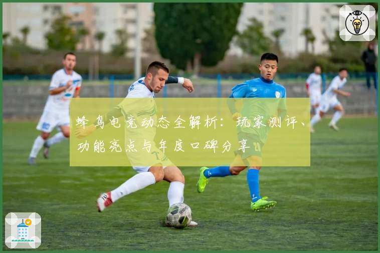 蜂鸟电竞动态全解析：玩家测评、功能亮点与年度口碑分享