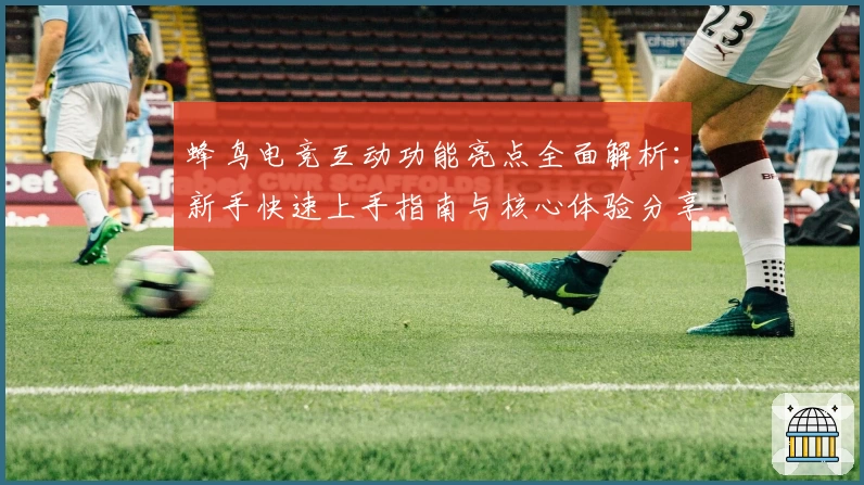 蜂鸟电竞互动功能亮点全面解析：新手快速上手指南与核心体验分享