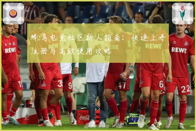 蜂鸟电竞社区新人指南：快速上手注册与高效使用攻略