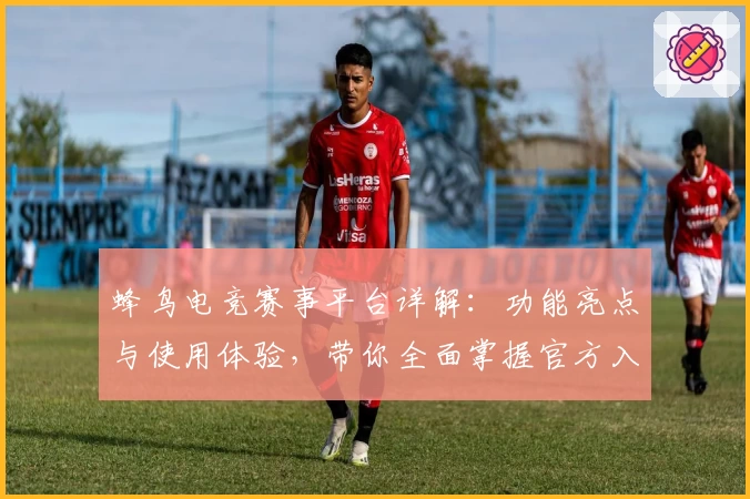 蜂鸟电竞赛事平台详解:功能亮点与使用体验,带你全面掌握官方入口