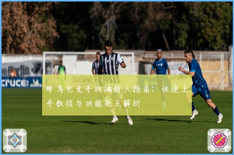 蜂鸟电竞手机端新人指南：快速上手教程与功能亮点解析