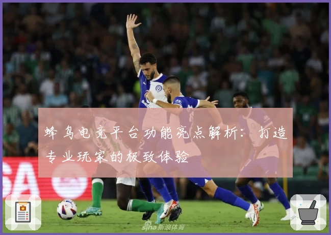 蜂鸟电竞平台功能亮点解析：打造专业玩家的极致体验