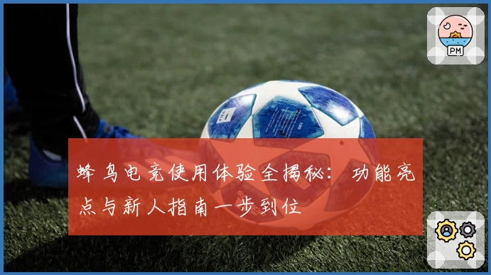 蜂鸟电竞使用体验全揭秘：功能亮点与新人指南一步到位