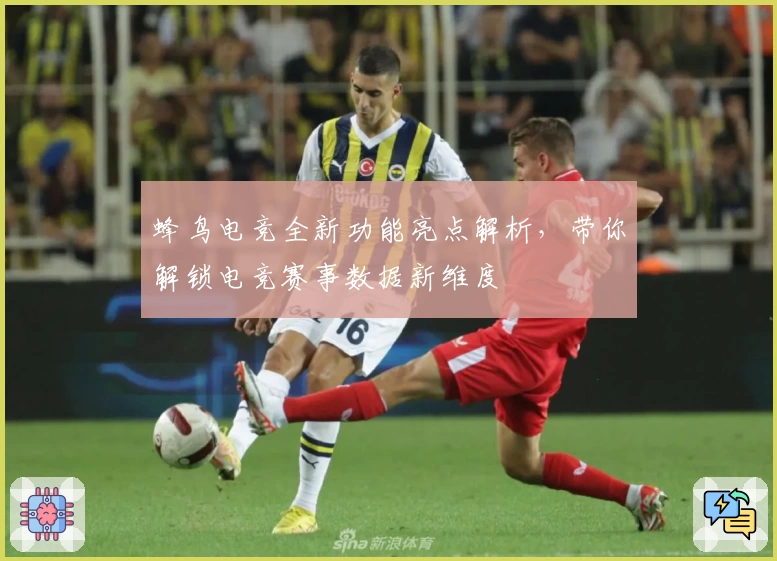 蜂鸟电竞全新功能亮点解析，带你解锁电竞赛事数据新维度