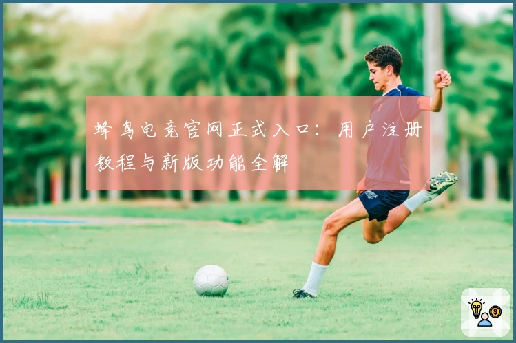 蜂鸟电竞官网正式入口：用户注册教程与新版功能全解