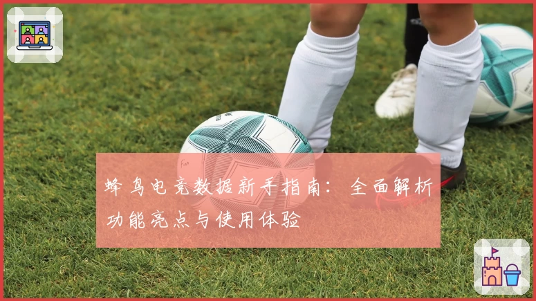 蜂鸟电竞数据新手指南：全面解析功能亮点与使用体验