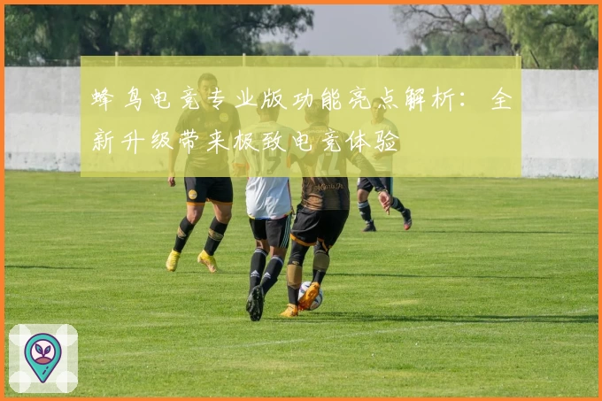 蜂鸟电竞专业版功能亮点解析：全新升级带来极致电竞体验