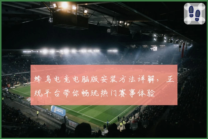 蜂鸟电竞电脑版安装方法详解，正规平台带你畅玩热门赛事体验
