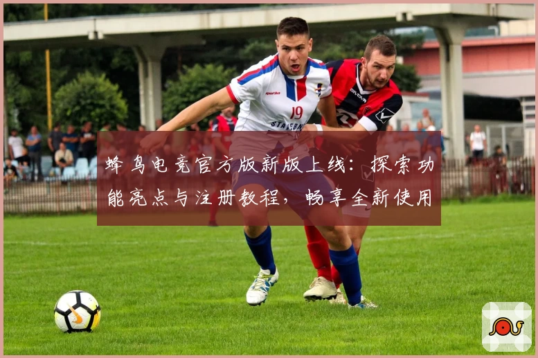 蜂鸟电竞官方版新版上线：探索功能亮点与注册教程，畅享全新使用体验