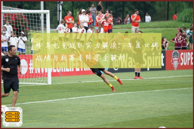 蜂鸟电竞战队实力解读：年度口碑战绩与新赛季阵容全解析