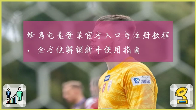 蜂鸟电竞登录官方入口与注册教程，全方位解锁新手使用指南