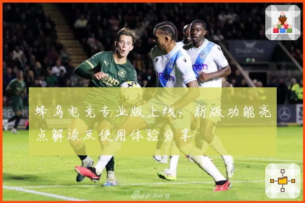 蜂鸟电竞专业版上线，新版功能亮点解读及使用体验分享