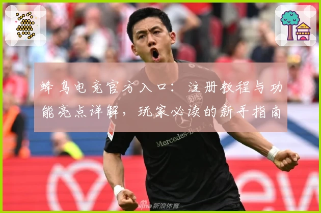 蜂鸟电竞官方入口:注册教程与功能亮点详解,玩家必读的新手指南