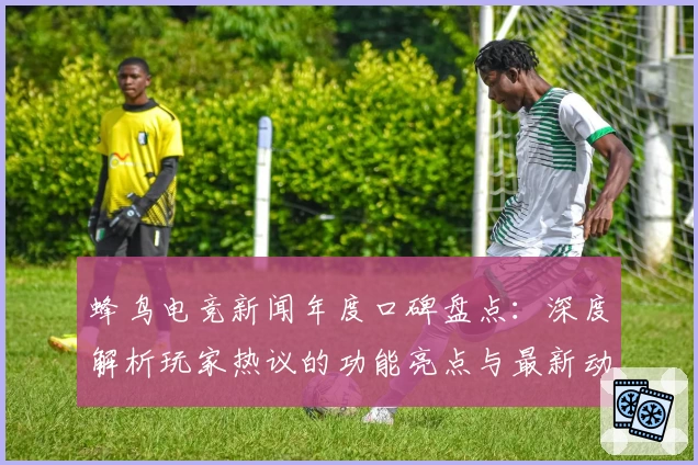 蜂鸟电竞新闻年度口碑盘点：深度解析玩家热议的功能亮点与最新动态