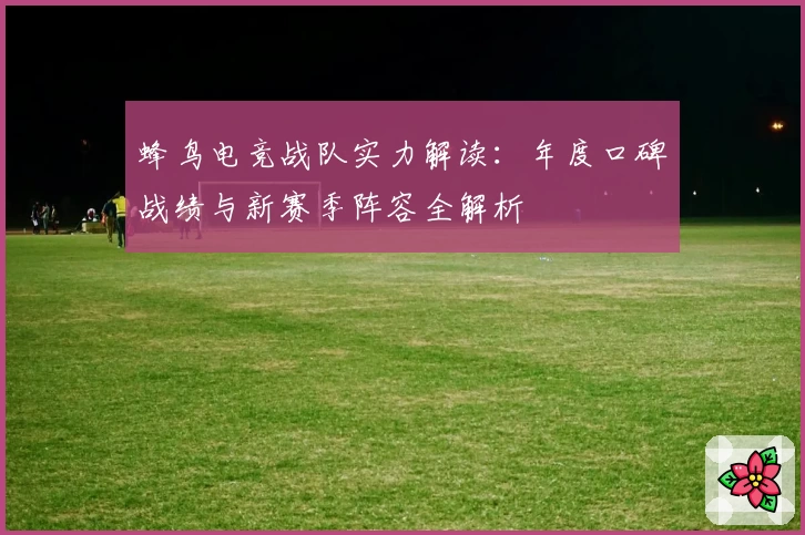 蜂鸟电竞战队实力解读：年度口碑战绩与新赛季阵容全解析