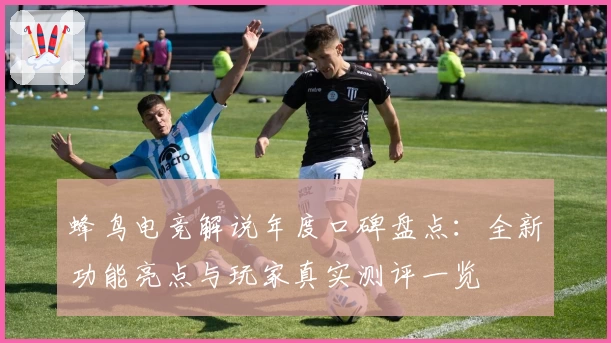 蜂鸟电竞解说年度口碑盘点：全新功能亮点与玩家真实测评一览