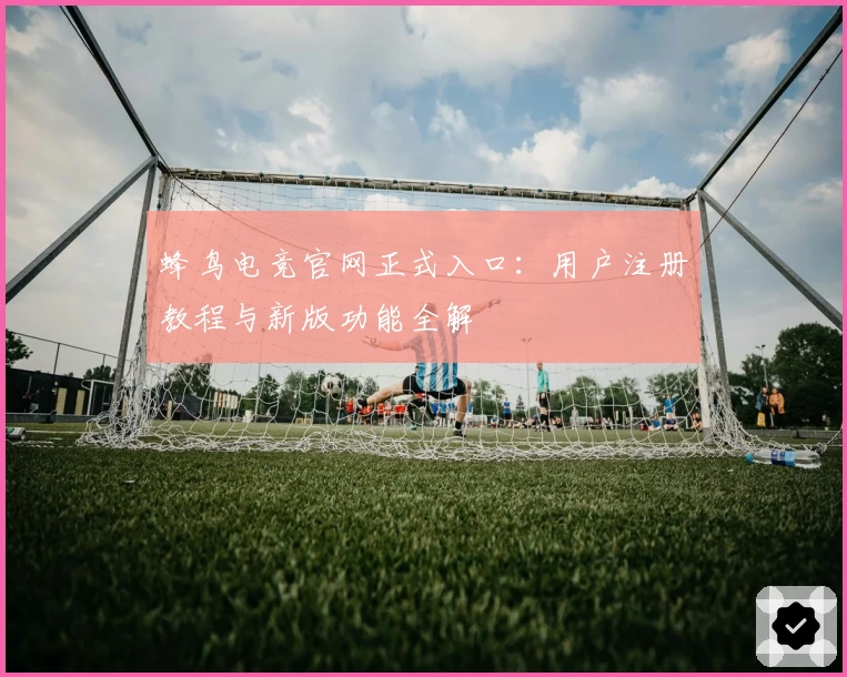 蜂鸟电竞官网正式入口：用户注册教程与新版功能全解