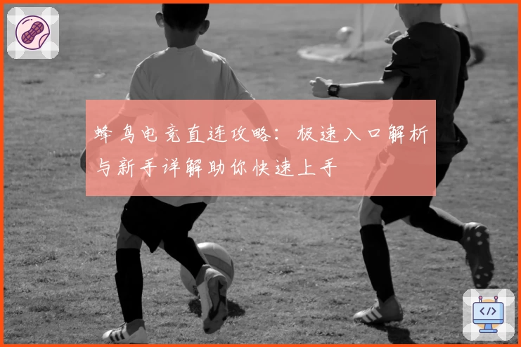 蜂鸟电竞直连攻略：极速入口解析与新手详解助你快速上手