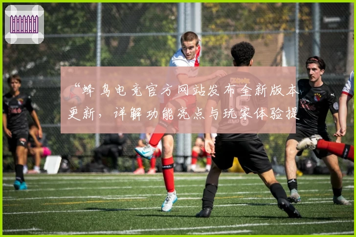 “蜂鸟电竞官方网站发布全新版本更新，详解功能亮点与玩家体验提升秘诀”