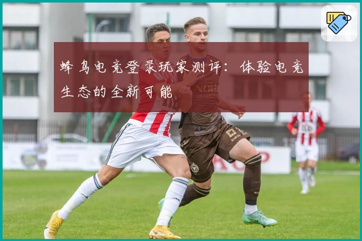 蜂鸟电竞登录玩家测评：体验电竞生态的全新可能