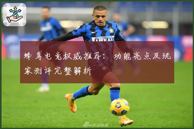 蜂鸟电竞权威推荐：功能亮点及玩家测评完整解析